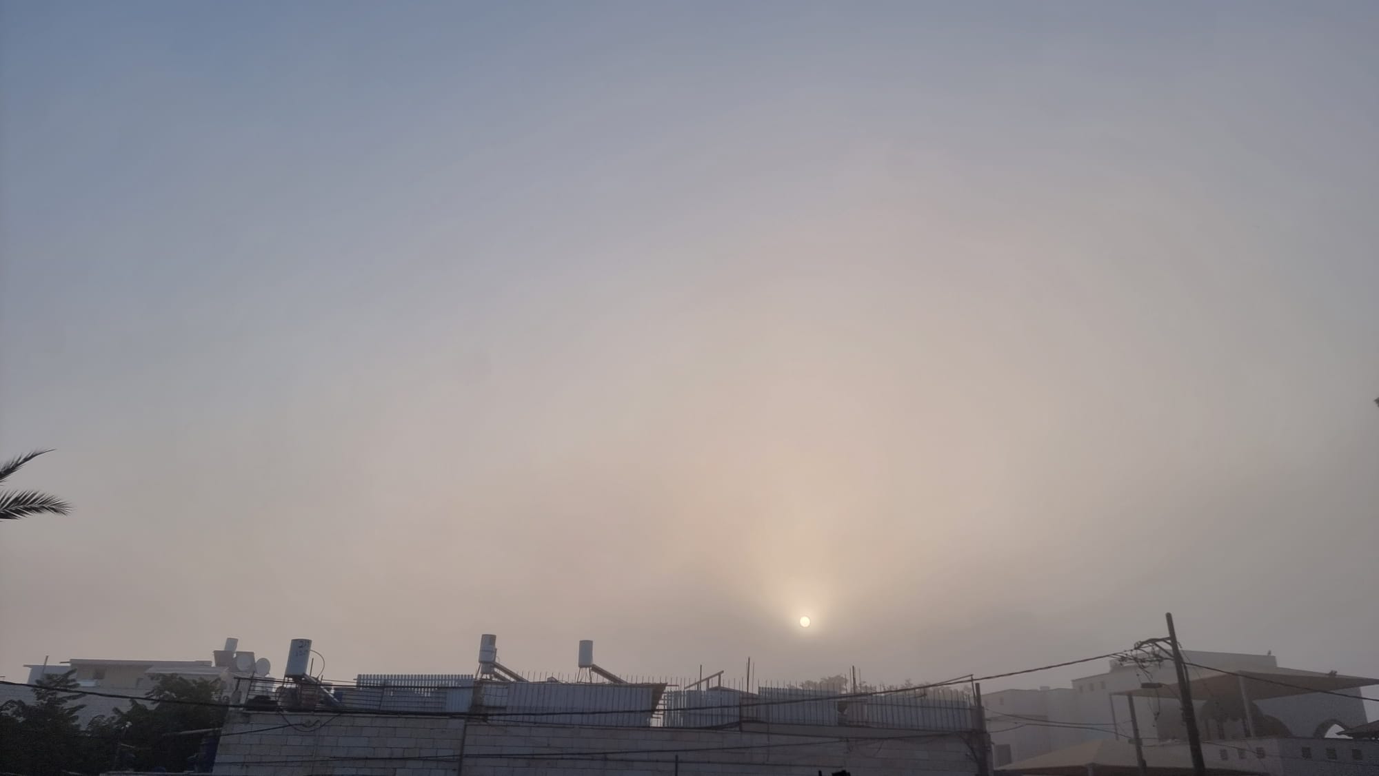 WhatsApp Image 2023-01-23 at 7.39.38 AM (2).jpeg